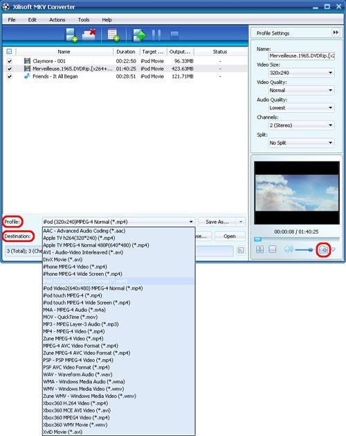Xilisoft MKV Converter