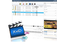 XviD to AVI, XviD to AVI converter, convert XviD to AVI